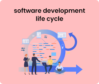 software_dev